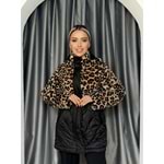 Toprak